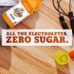 Image de Zéro punch aux fruits