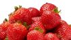 Image de Fraises, 1 livre