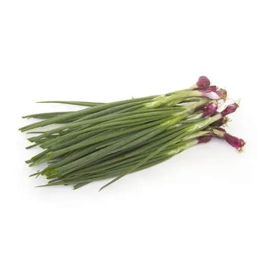 Image de Oignon nouveau avec racines