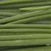 Image de Oignon nouveau avec racines