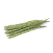 Image de Pilon/Moringa