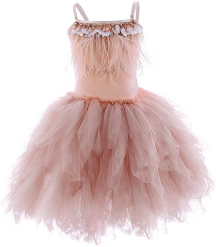 Image de Costume de danse princesse cygne, robe de ballerine en plumes